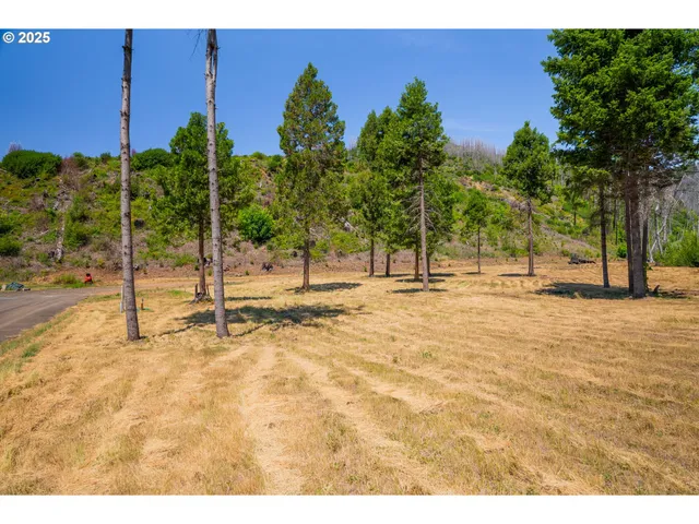 $350,000 | River Street, Blue River, OR 97413
