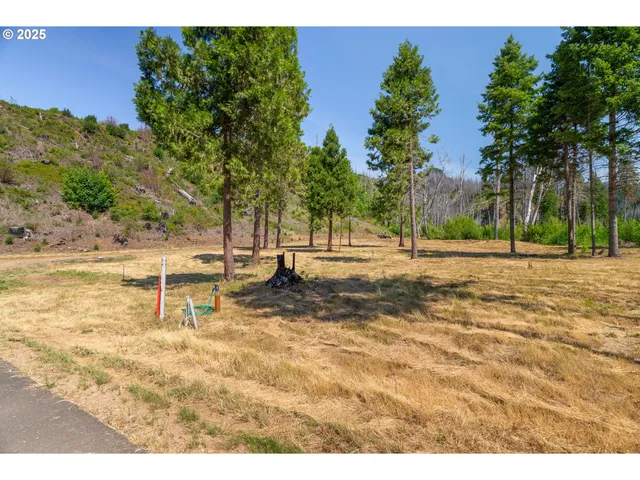 $350,000 | River Street, Blue River, OR 97413