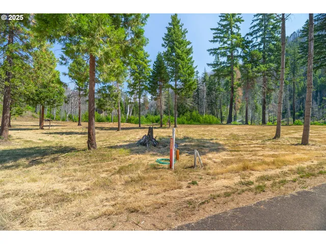 $350,000 | River Street, Blue River, OR 97413