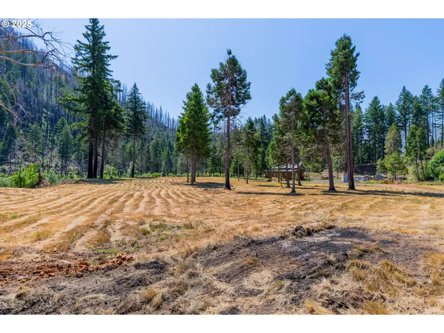 $350,000 | River Street, Blue River, OR 97413