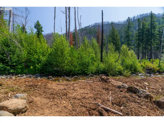 $350,000 | River Street, Blue River, OR 97413