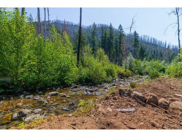 $350,000 | River Street, Blue River, OR 97413