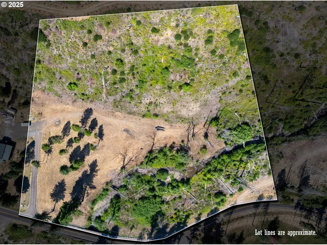 $350,000 | River Street, Blue River, OR 97413