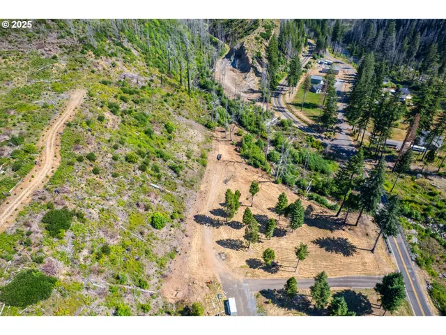 $350,000 | River Street, Blue River, OR 97413