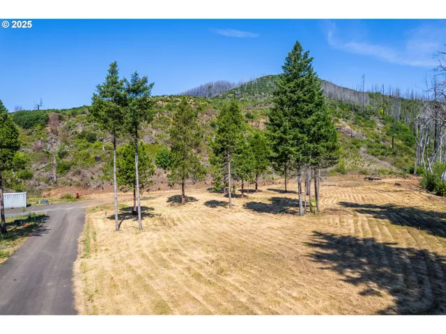 $350,000 | River Street, Blue River, OR 97413