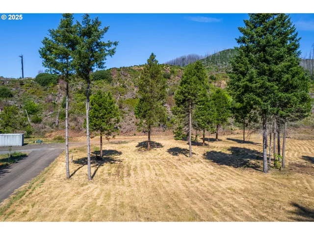 $350,000 | River Street, Blue River, OR 97413