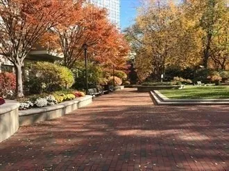 a view of road with trees