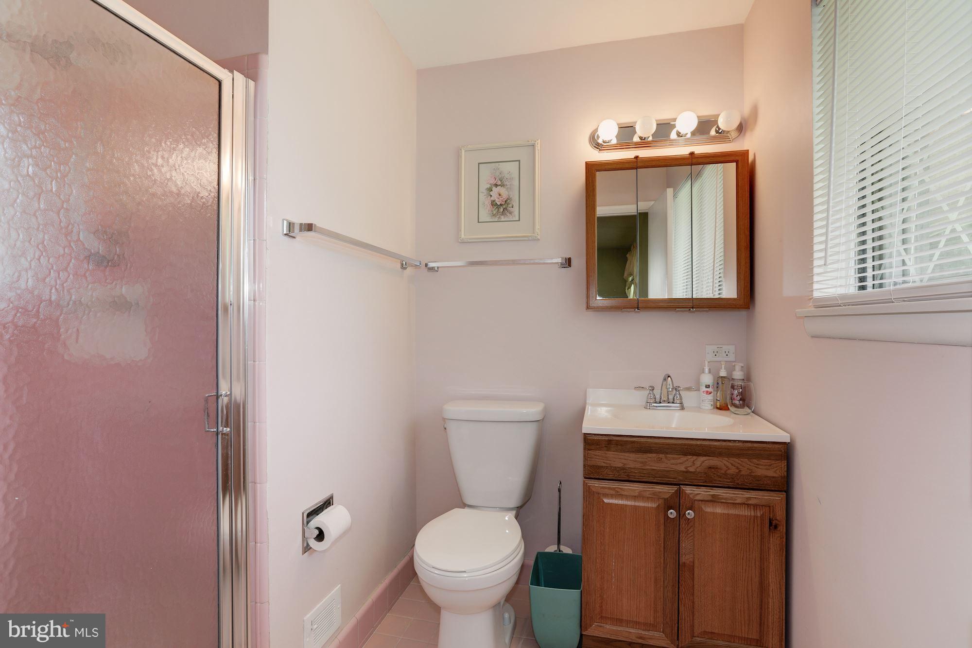 1005 North Belgrade Road Silver Spring, MD 20902 - Photo 13 of 25 Master Bath