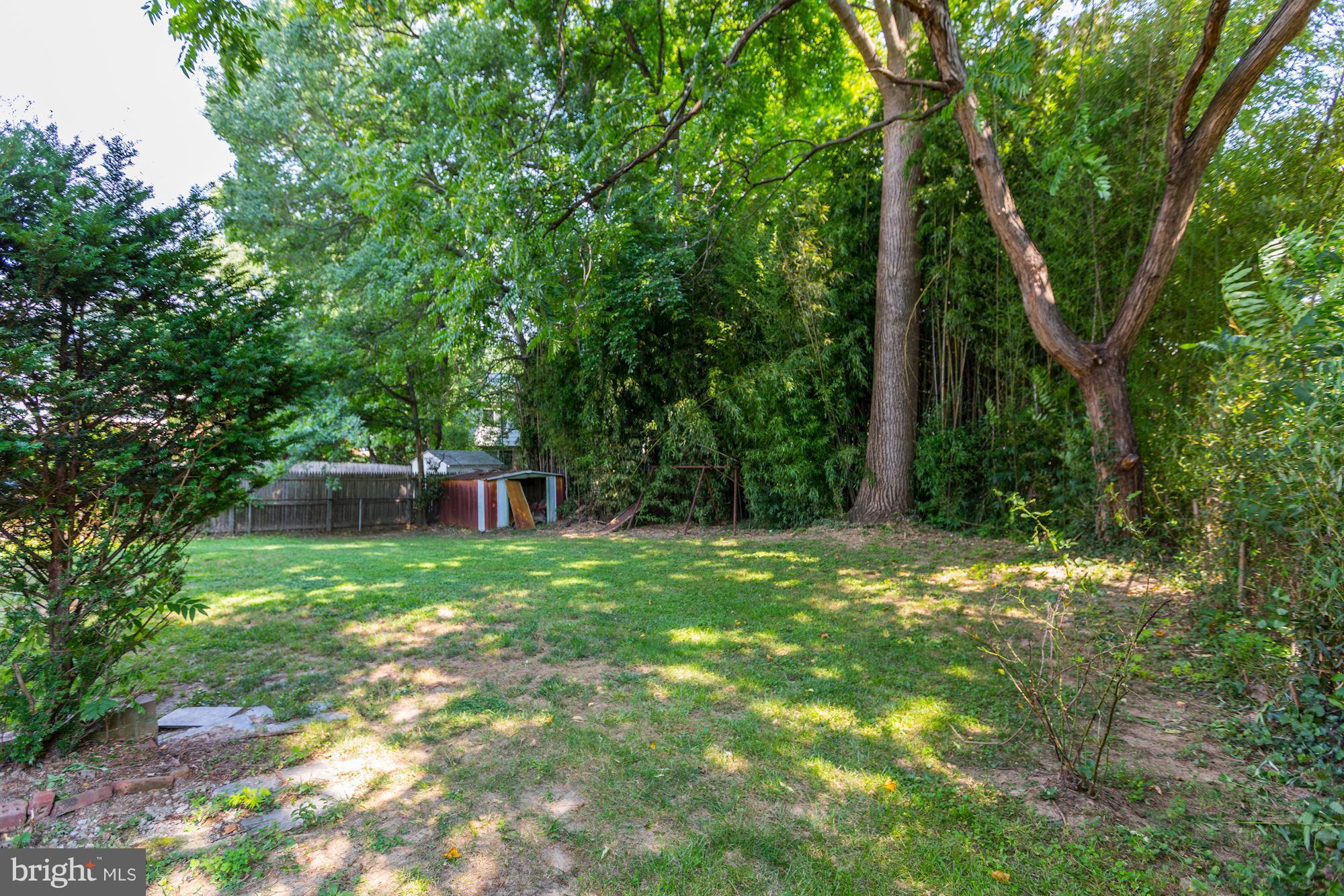 1005 North Belgrade Road Silver Spring, MD 20902 - Photo 23 of 25 Yard