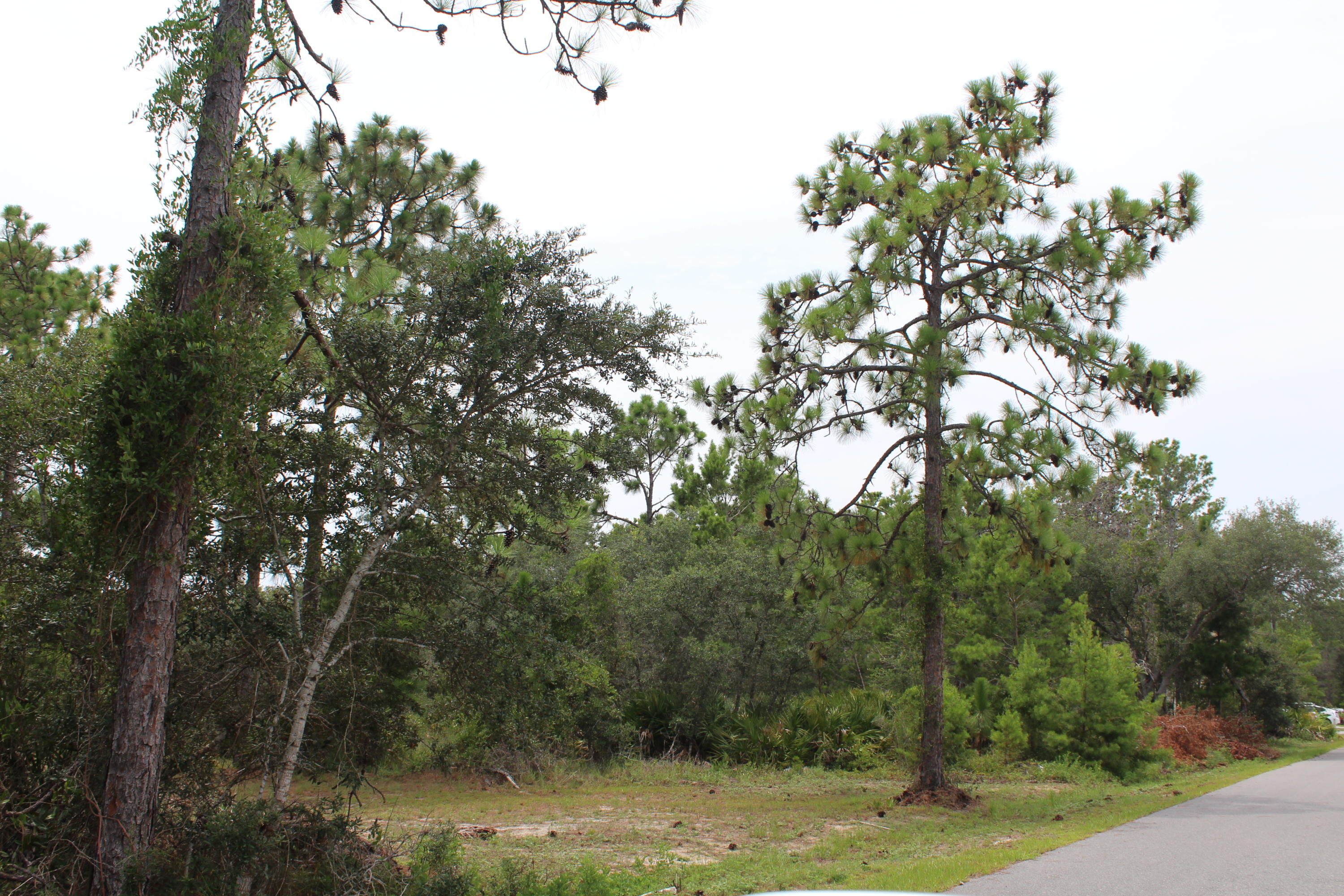 22 Bambi Place Santa Rosa Beach, FL 32459 - Photo 3 of 8 Lot 21 & 22_ Bambi (3)
