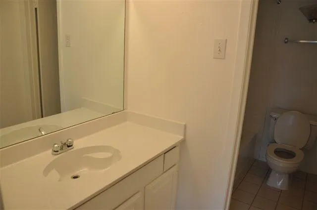 a bathroom with a sink and a toilet
