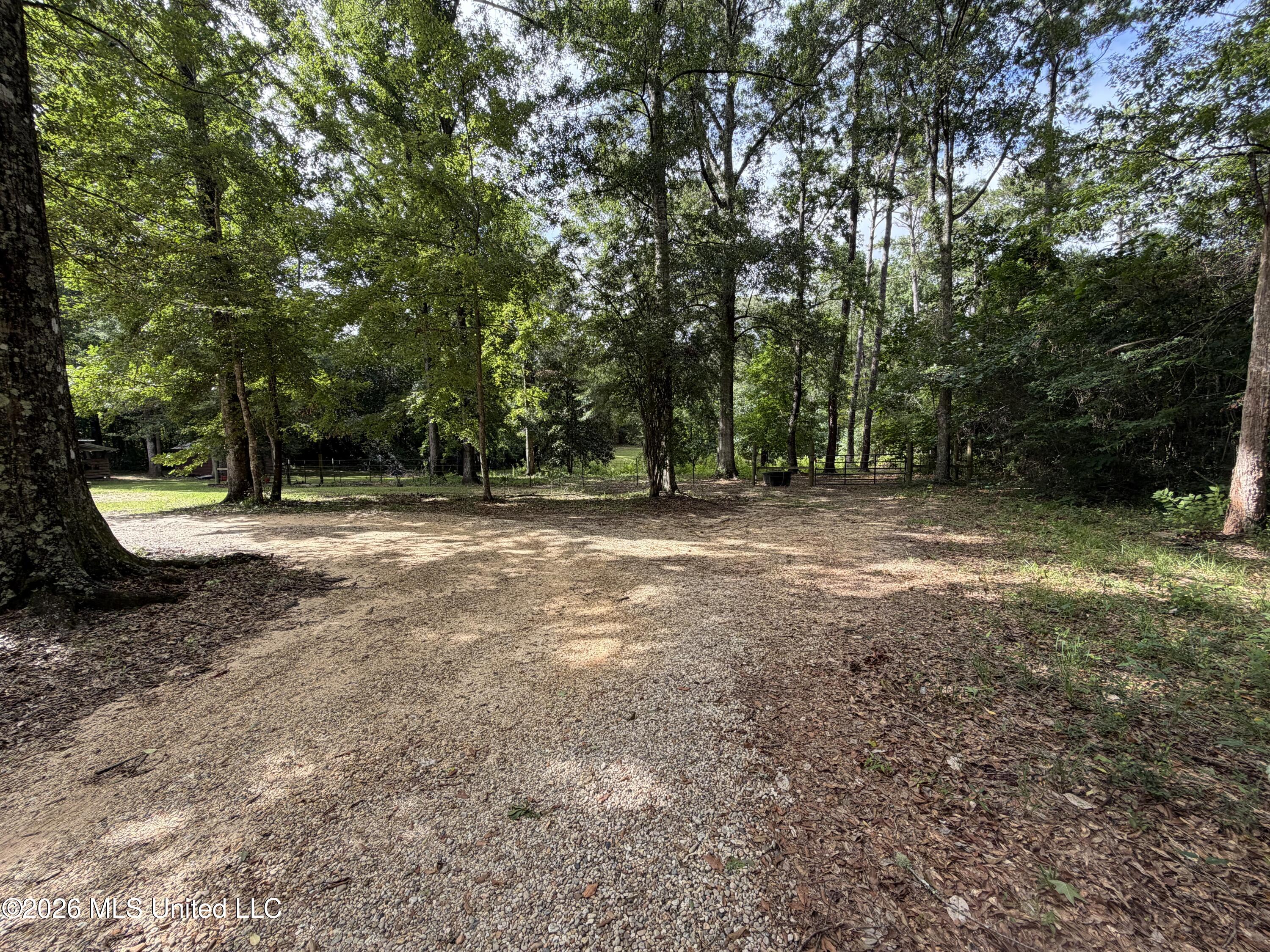 61 Pinetucky Road Carriere, MS 39426 - Photo 23 of 34 IMG_2300