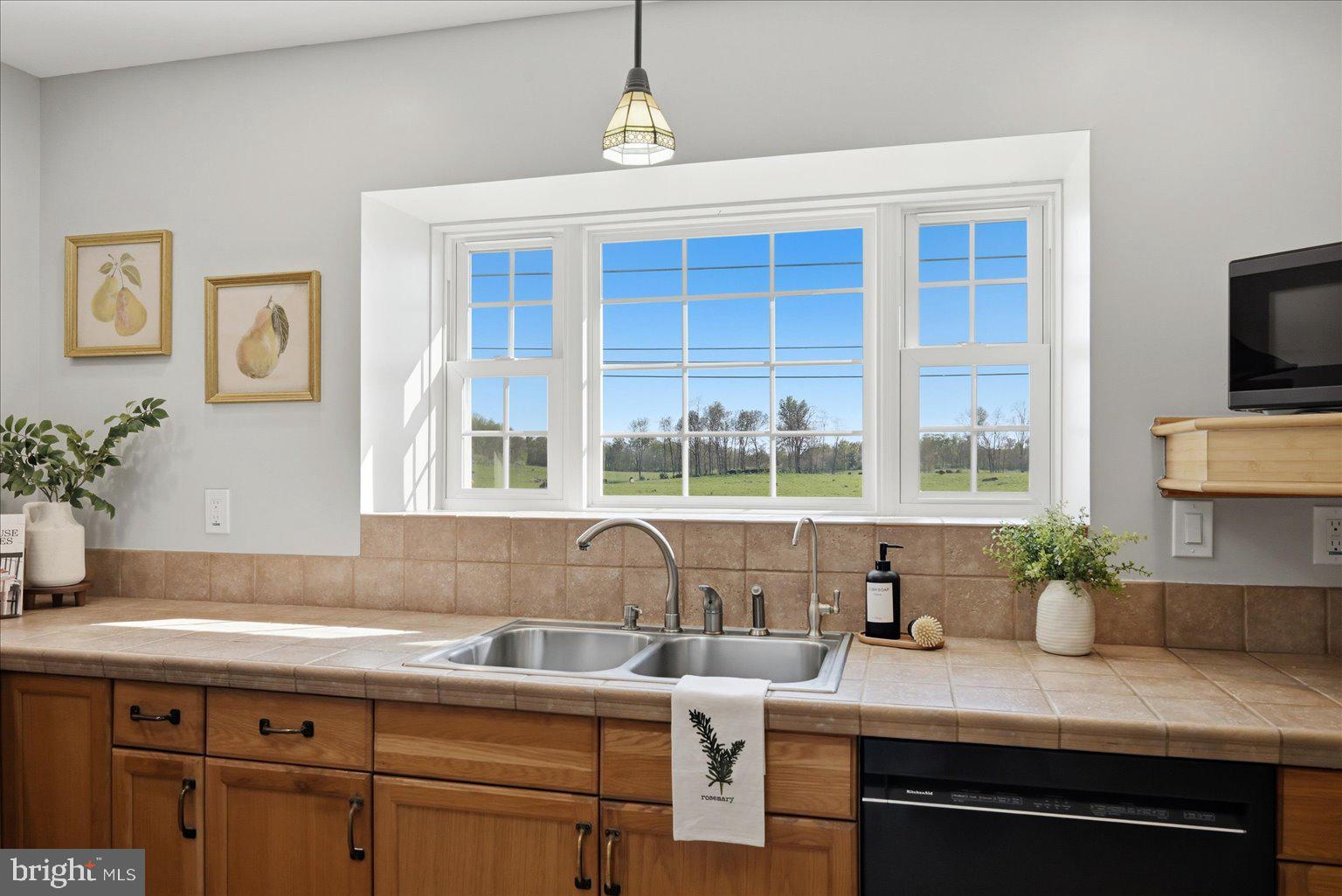 3093 Old Leetown Pike Ranson, WV 25438 - Photo 16 of 85 Kitchen with garden window and natural light