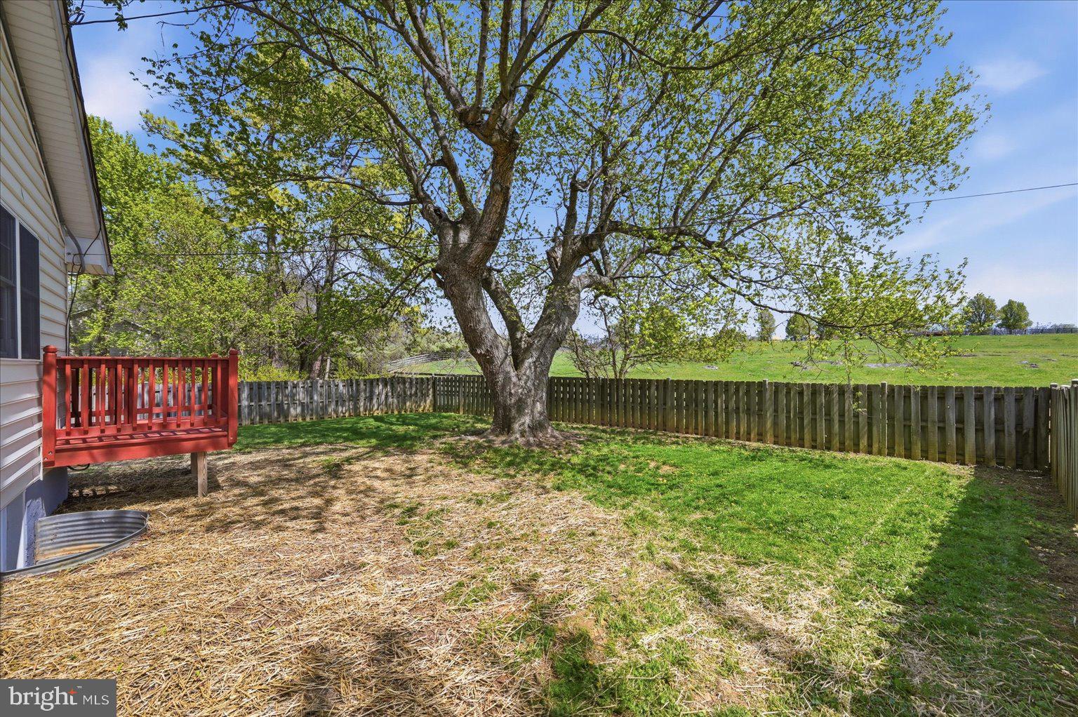 3093 Old Leetown Pike Ranson, WV 25438 - Photo 69 of 85 Separately fenced yard for pets