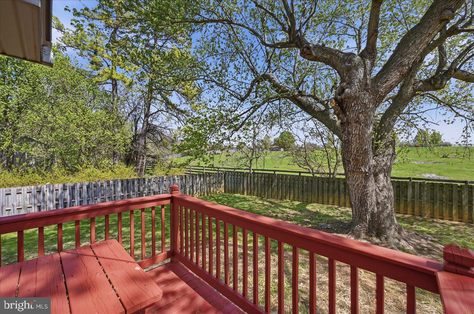 3093 Old Leetown Pike Ranson, WV 25438 - Photo 71 of 85 Separately fenced yard for pets