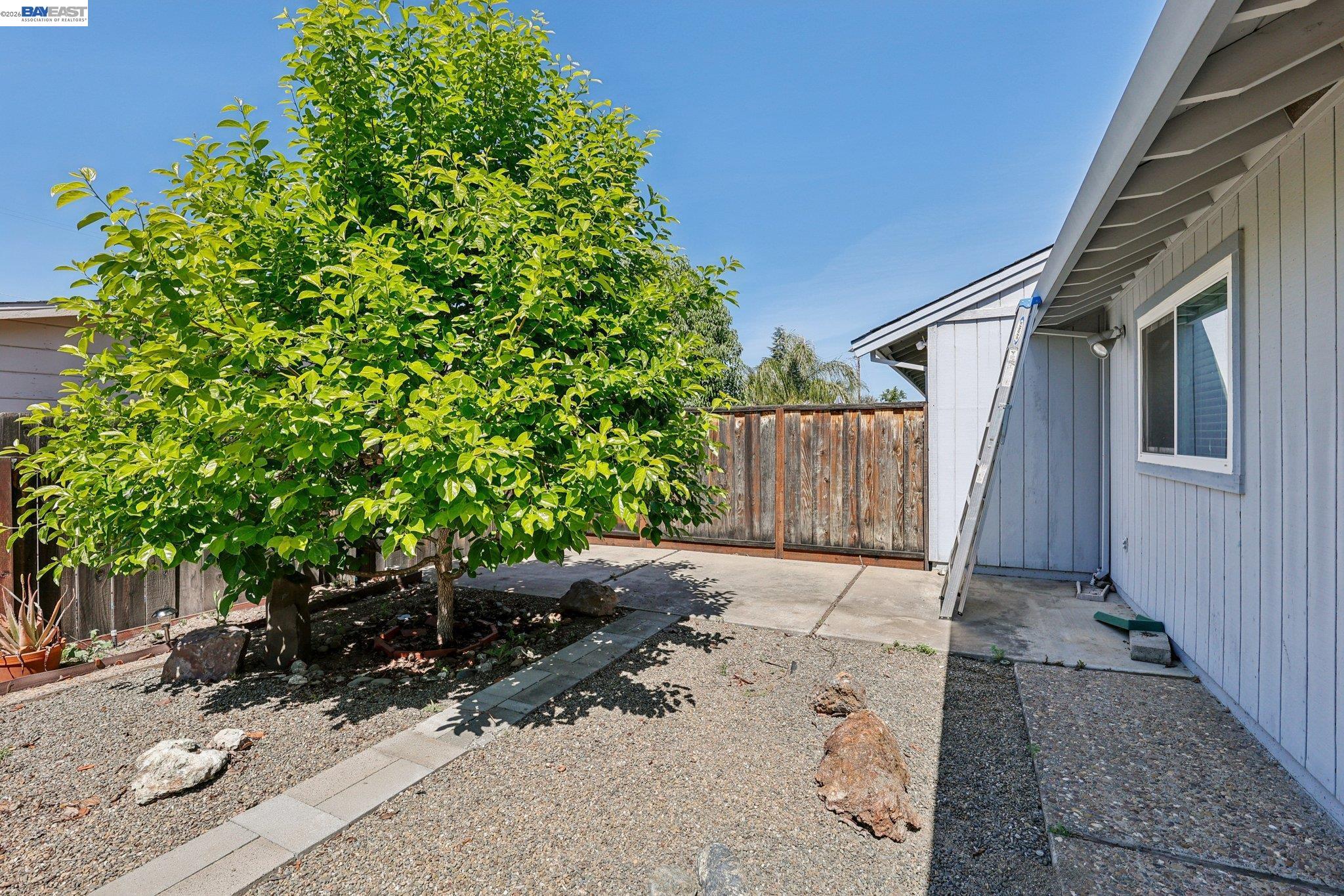 1113 Tokay Common Livermore, CA 94550 - Photo 28 of 30 a backyard of a house with lots of green space