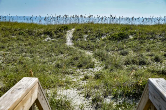 a aerial view of a house with garden