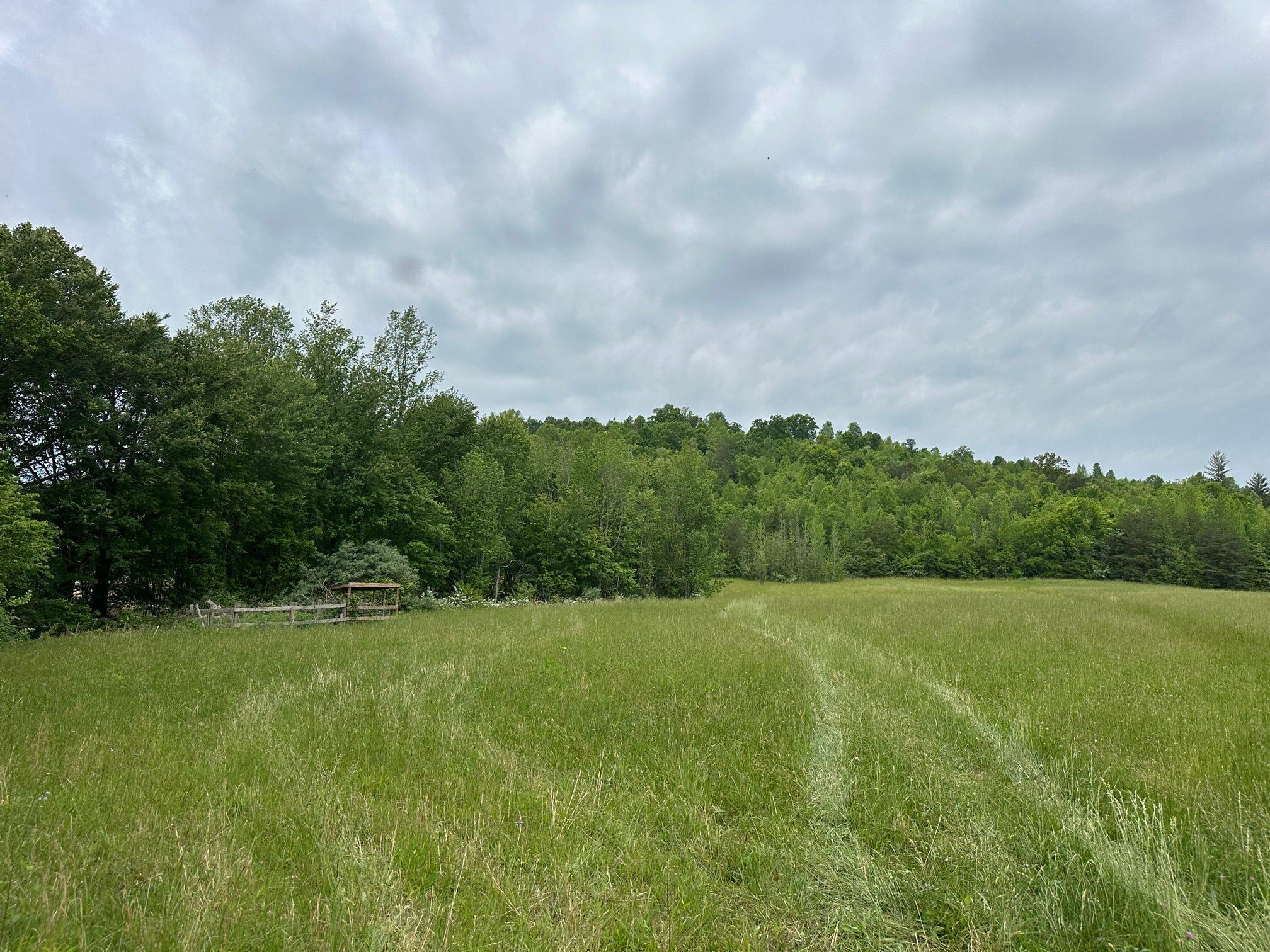 1802 River Road Williamsburg, KY 40769 - Photo 9 of 59 Field
