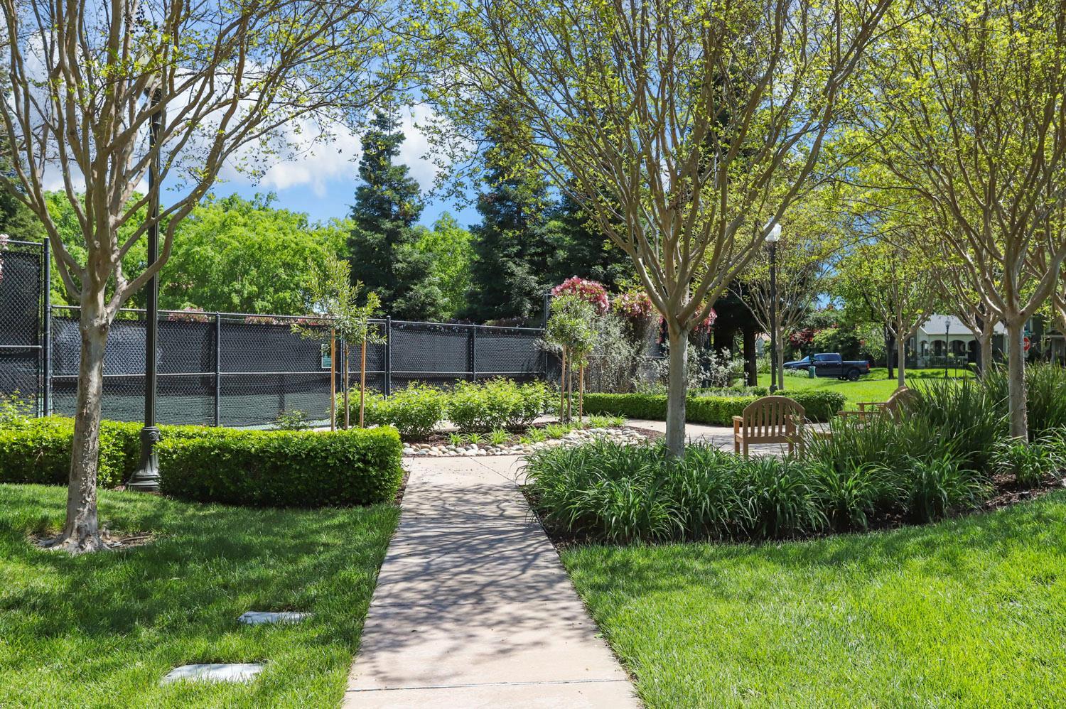 3044 Redbridge Road Tracy, CA 95377 - Photo 83 of 88 a view of a backyard with potted plants and large trees