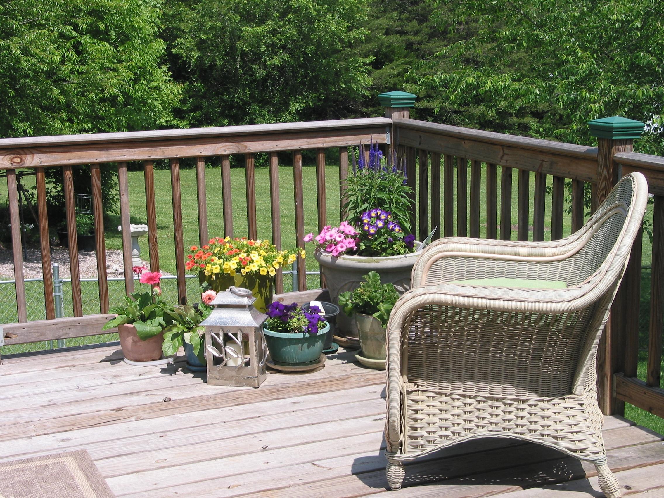 5100 Shipe Road Corryton, TN 37721 - Photo 29 of 32 Shipe Deck