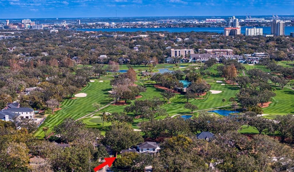 1002 South Frankland Road Tampa, FL 33629 - Photo 86 of 88