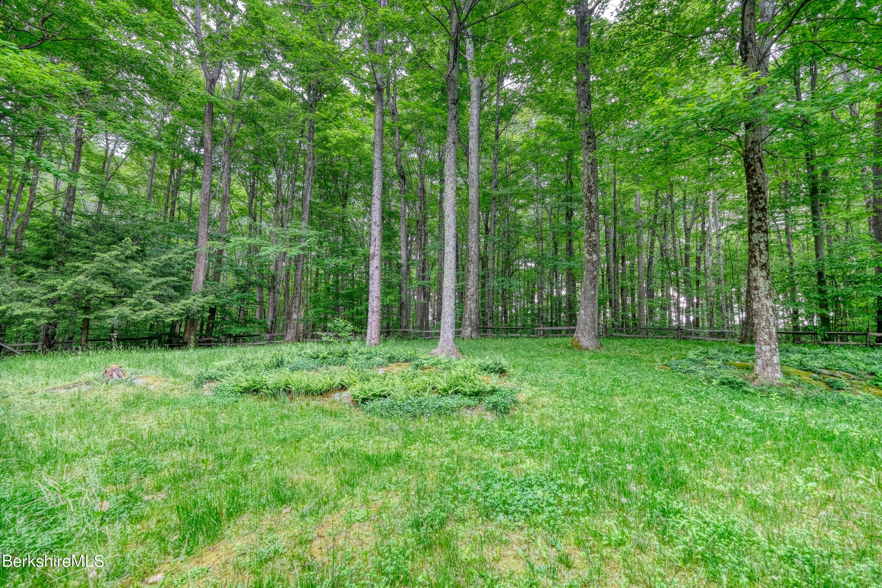 205 Summit Road Richmond, MA 01254 - Photo 11 of 20 DSCF3913