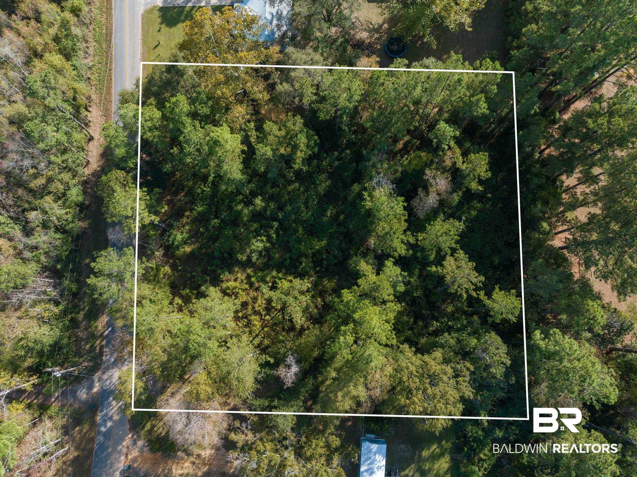 35741 Pine Road North Stapleton, AL 36578 - Photo 2 of 11