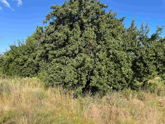 $159,900 | 16-xx South 16-xx S Fairview Heights Road, Airway Heights, WA 99001