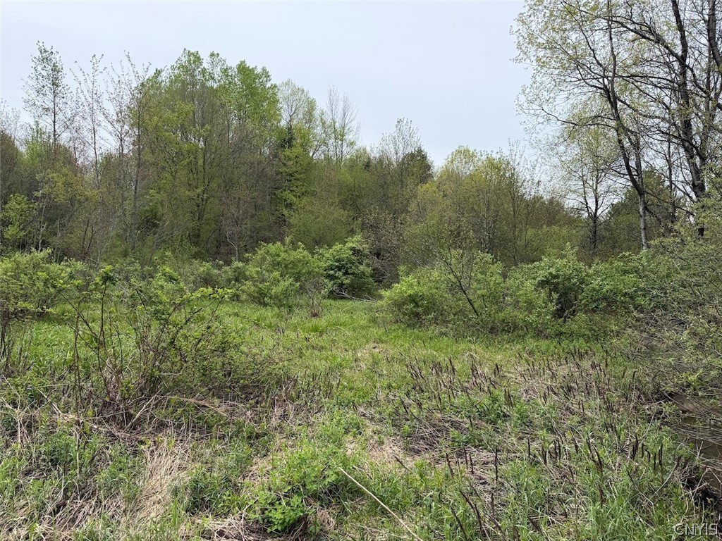 Reynolds Road Franklinville, NY 14737 - Photo 20 of 38