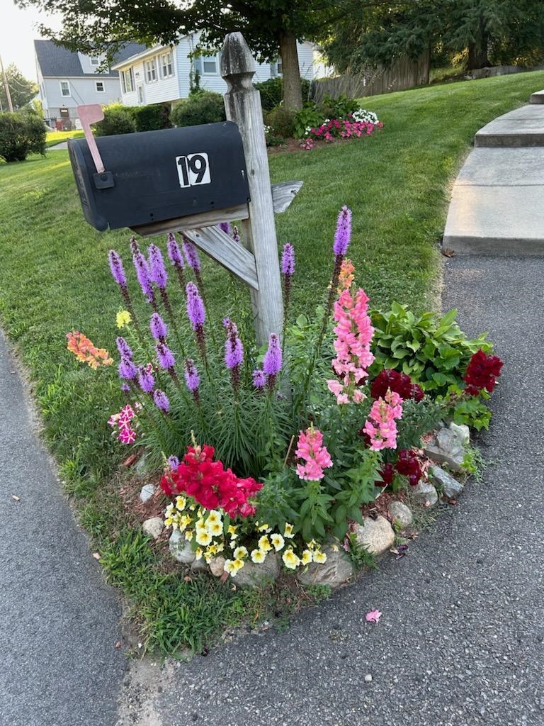 19 Carmine Road Nashua, NH 03063 - Photo 29 of 40