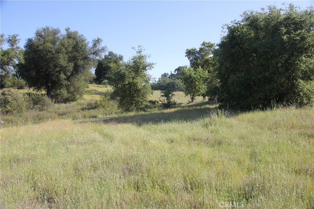 74650 Interlake Road Bradley, CA 93426 - Photo 3 of 21