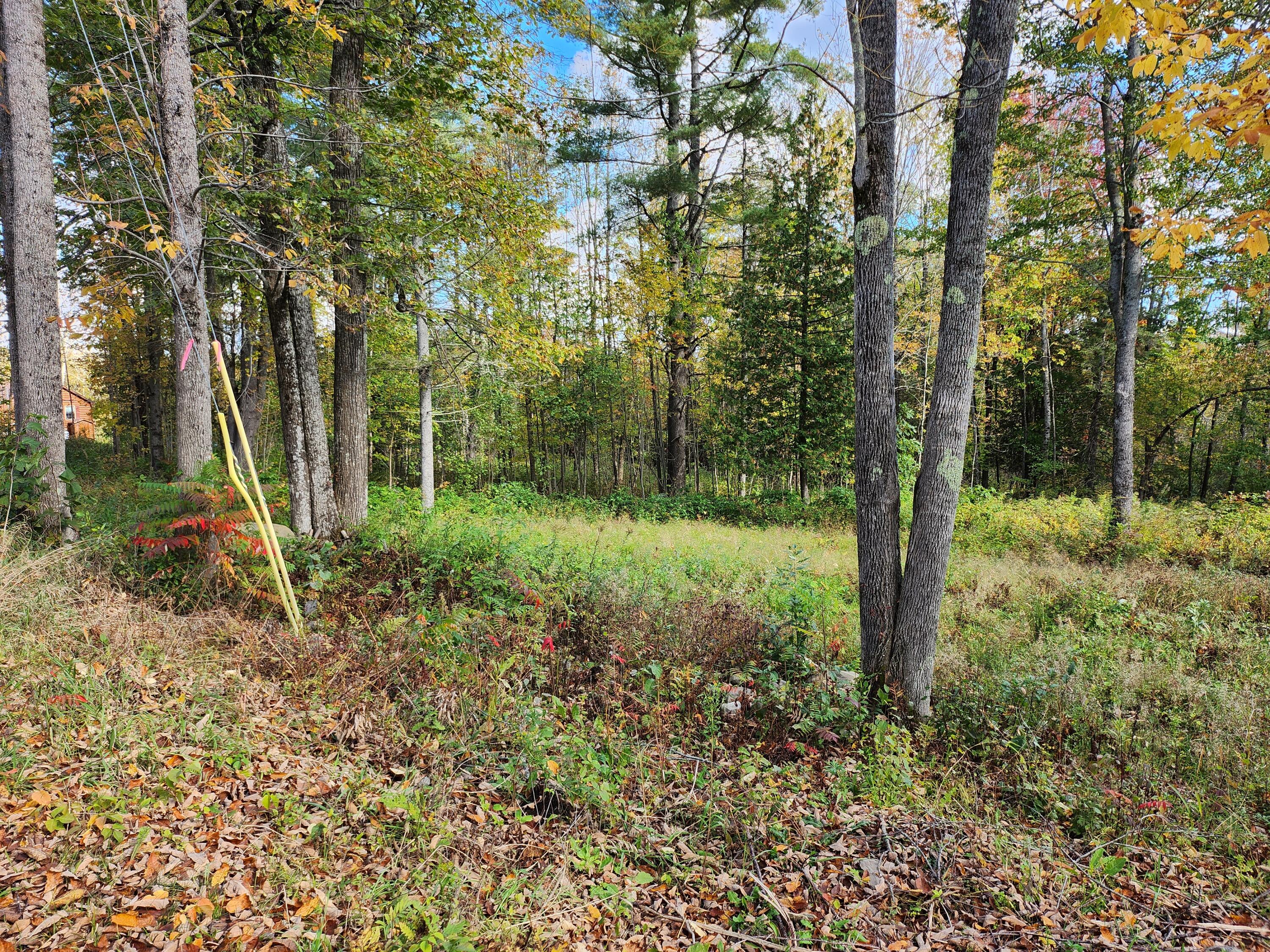 Lot 24 Rutland Road Newport, ME 04953 - Photo 2 of 8 20231009_104929