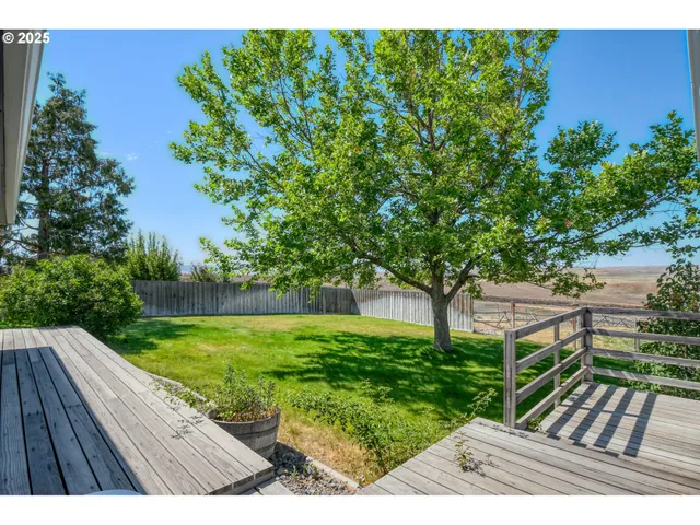 a view of a yard with an outdoor space