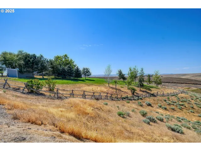 a view of a dry yard with wooden fence
