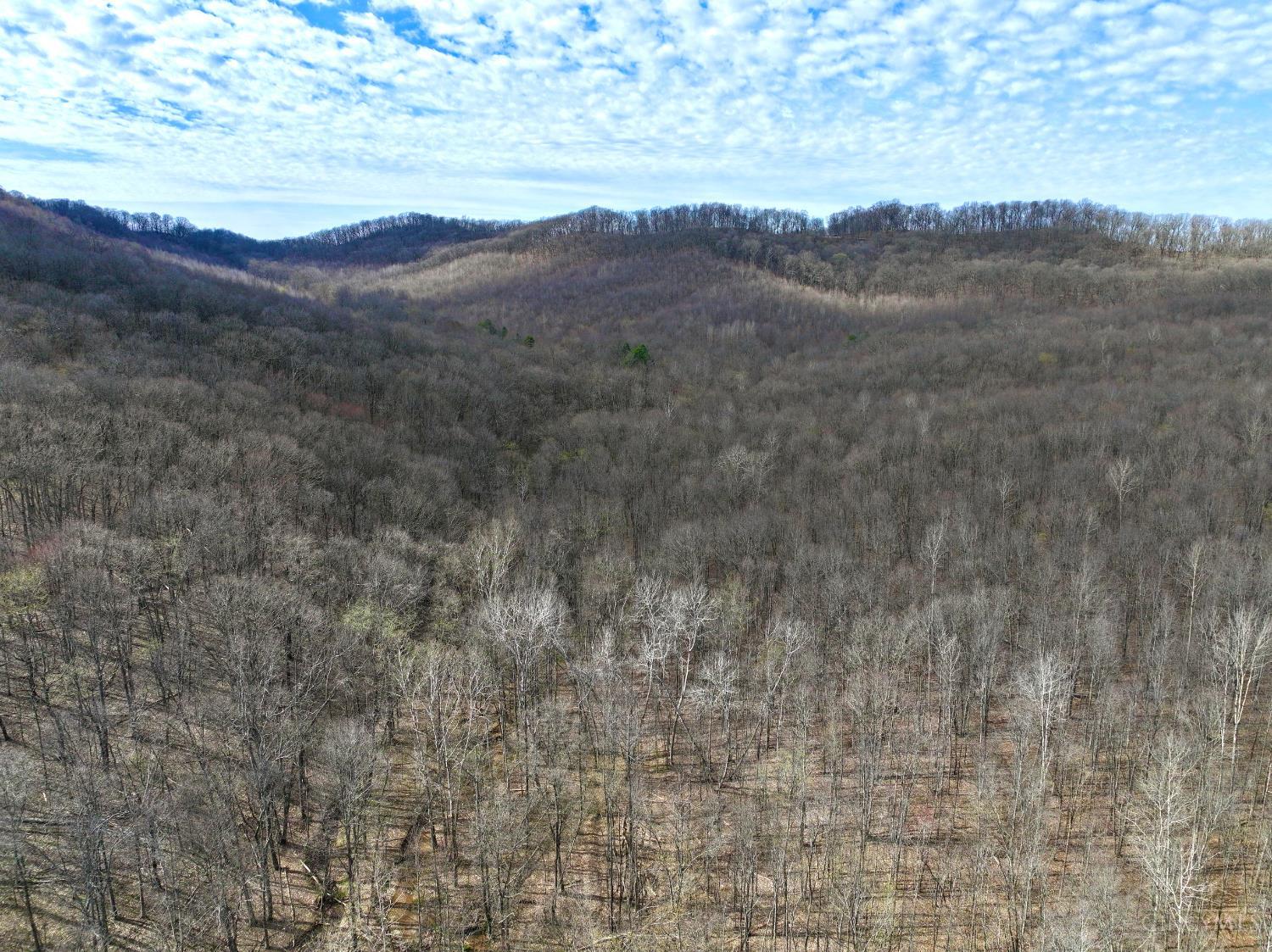 0 Fyffe Hollow Road Chillicothe, OH 45601 - Photo 33 of 96