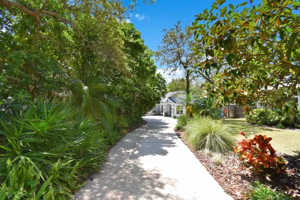 a view of a pathway both side of yard