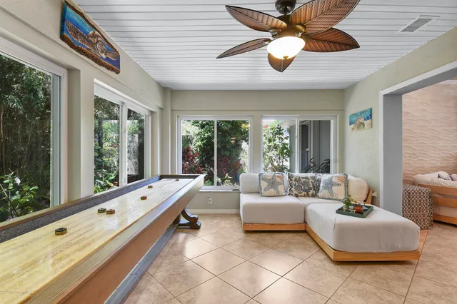 a view of a garden with plants