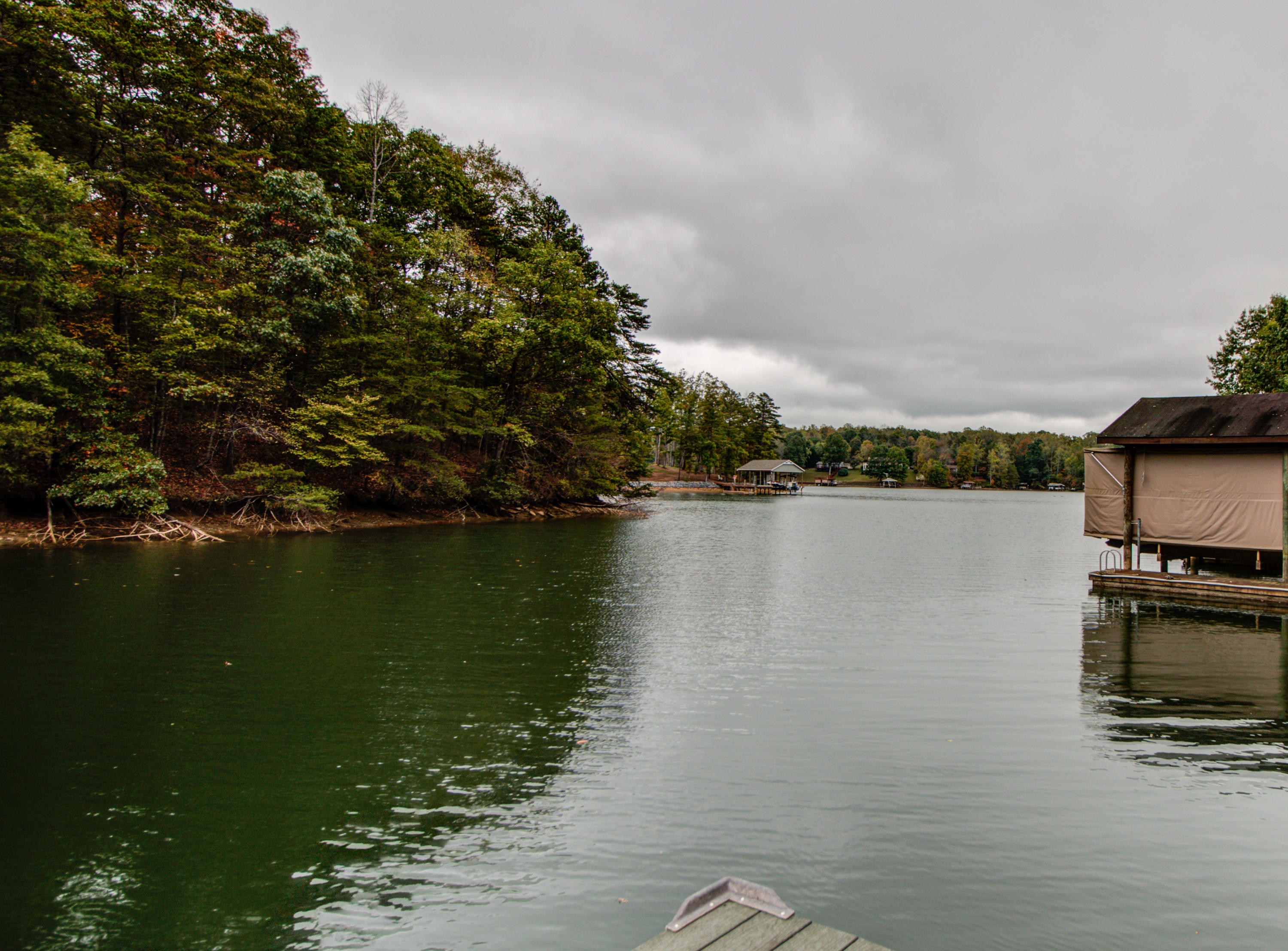102 Red Oak Road Moneta, VA 24121 - Photo 11 of 43 Deep Water Cove