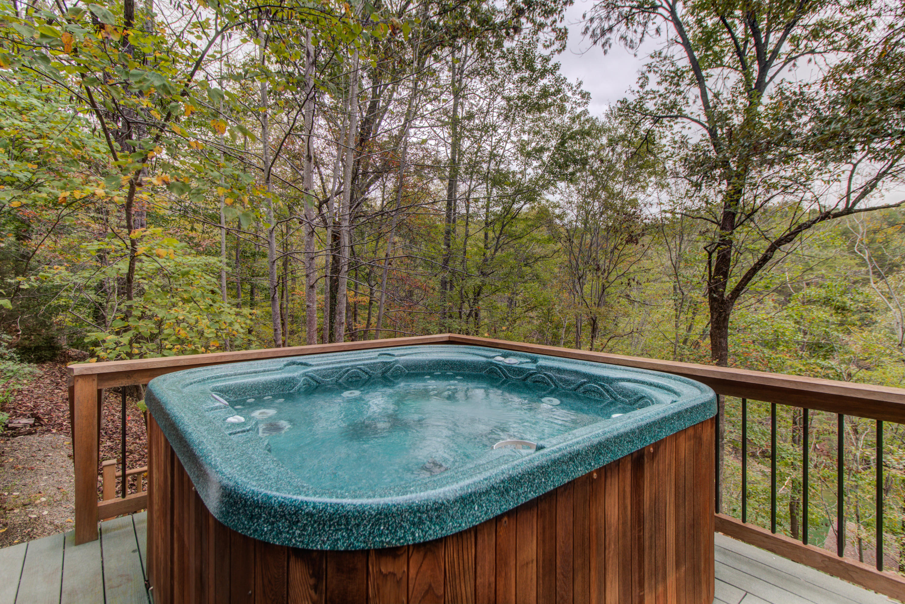 102 Red Oak Road Moneta, VA 24121 - Photo 32 of 43 Hot Tub