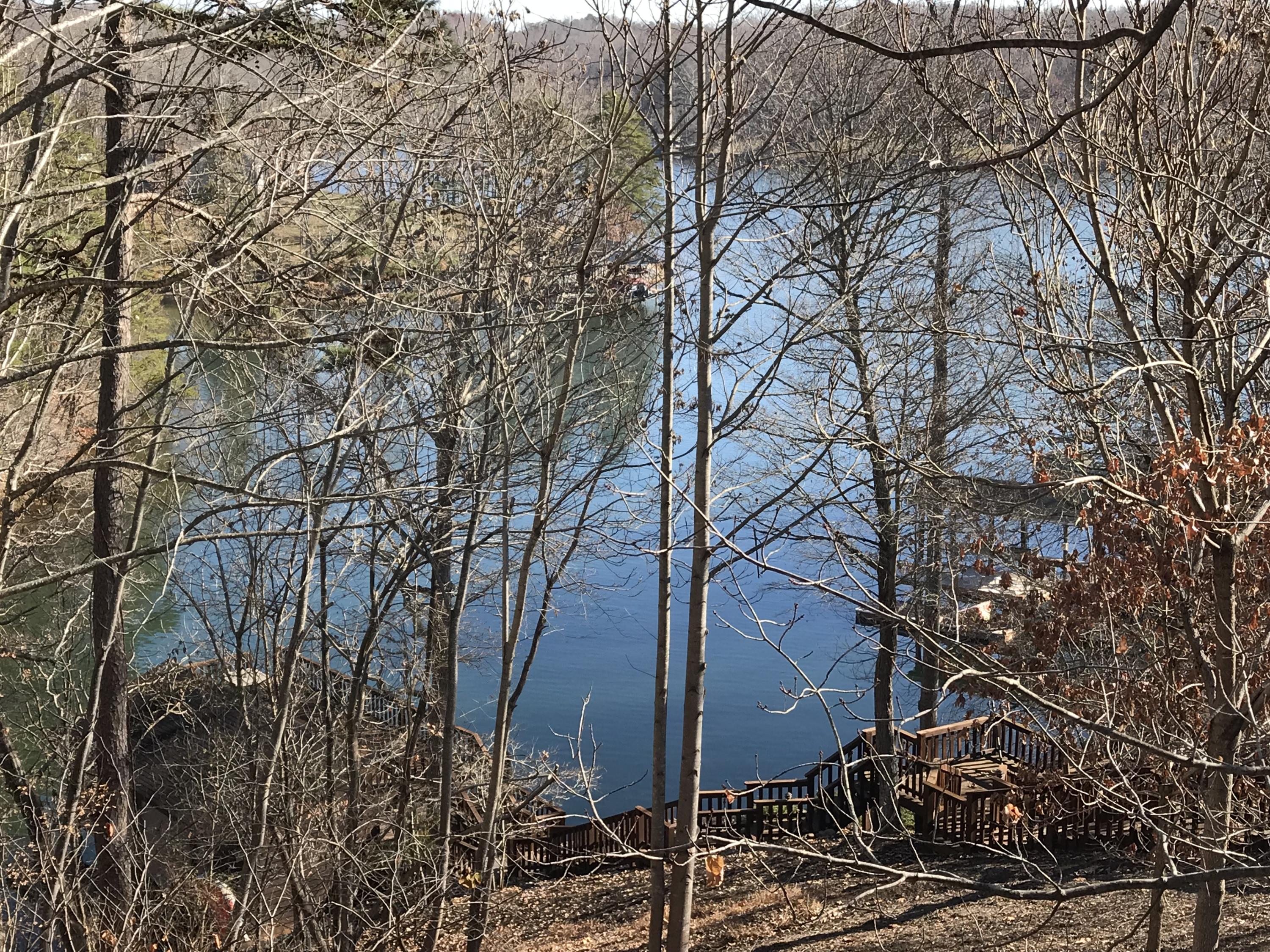 102 Red Oak Road Moneta, VA 24121 - Photo 40 of 43 Lake View