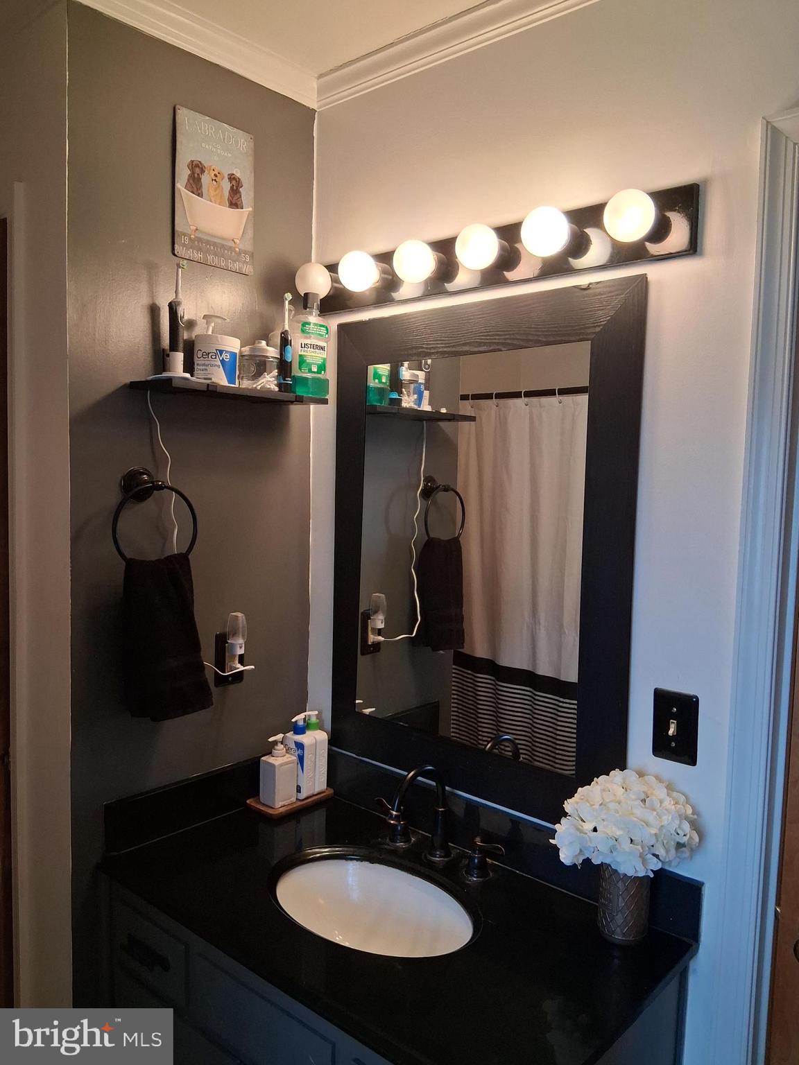 10691 Rifle Range Road Bridgeville, DE 19933 - Photo 25 of 31 bathroom