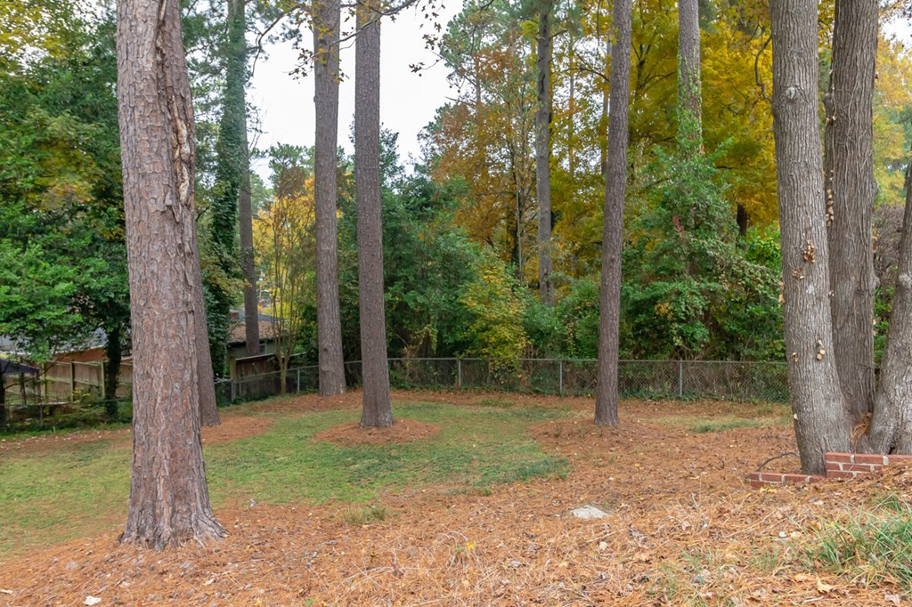 439 Aumond Road Augusta, GA 30909 - Photo 42 of 60