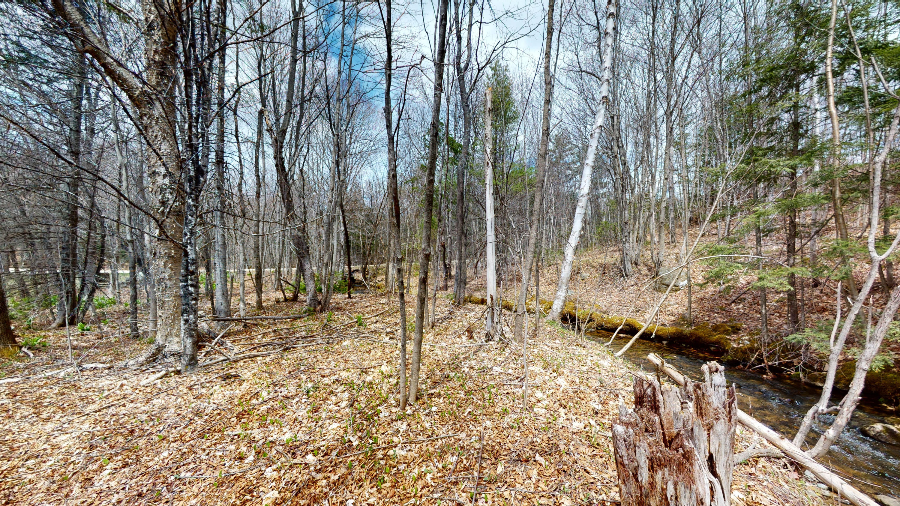 108 Goding Road Hartford, ME 04220 - Photo 33 of 39 108-Goding-Road-Hartford-Maine-05072020_