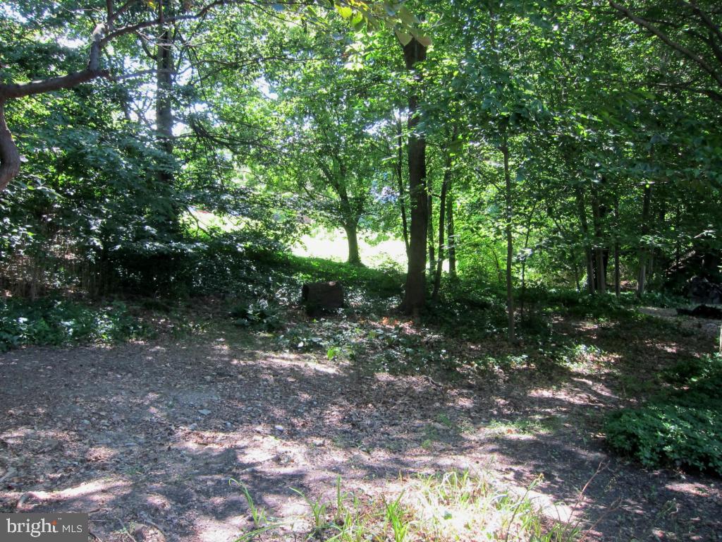 165 Ridings Way Lancaster, PA 17601 - Photo 86 of 92 Gallery Image 86