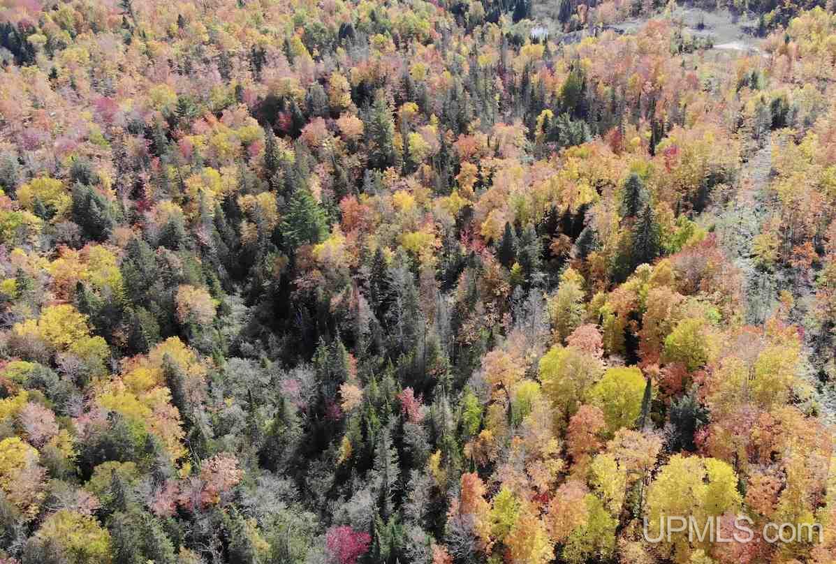 Tbd Winona Road Toivola, MI 49965 - Photo 7 of 23 Gallery Image 7