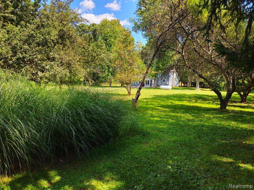 9750 Whitmore Lake Road Brighton, MI 48116 - Photo 41 of 44 Gallery Image 41