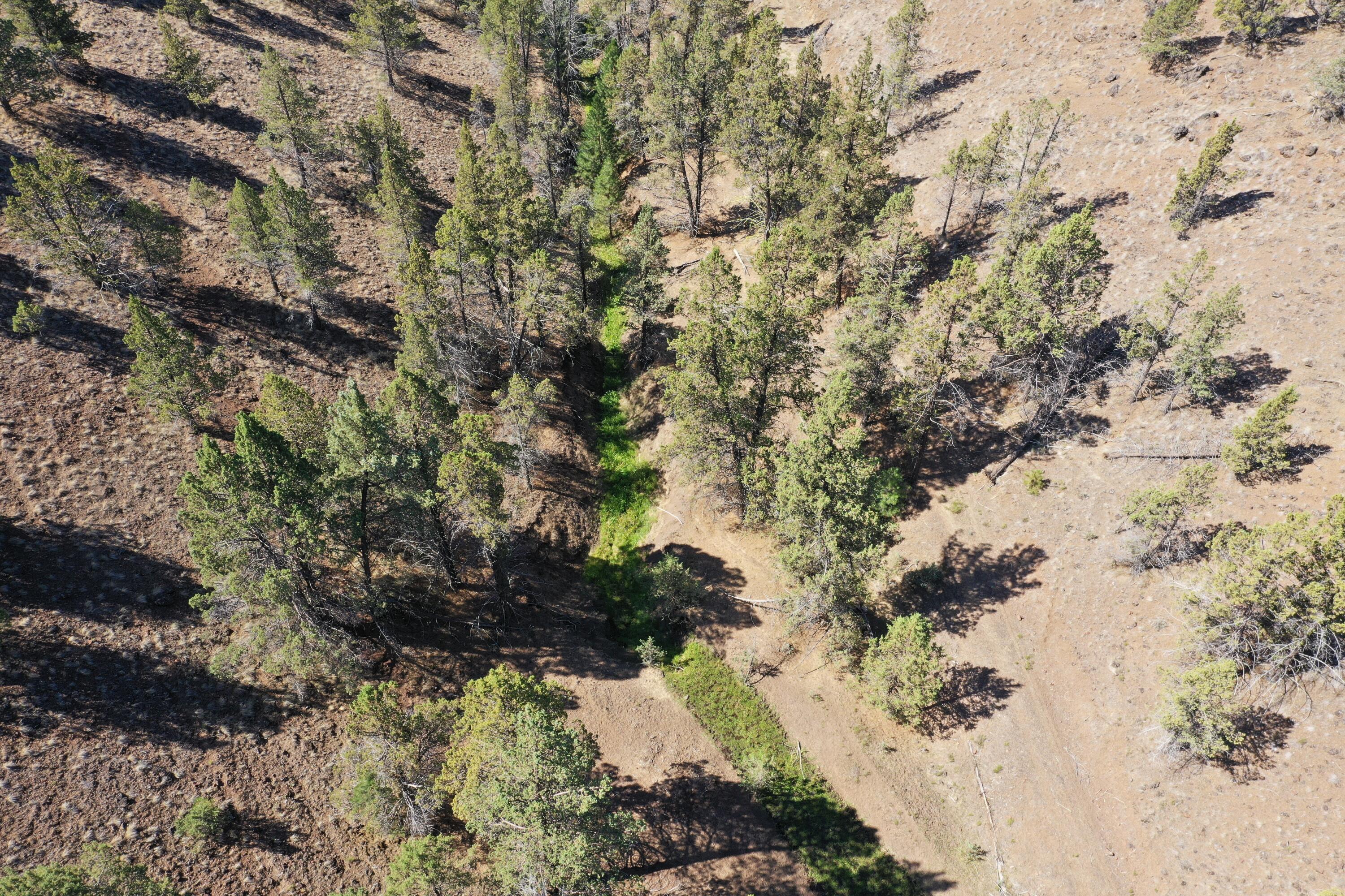 2400 Wiley Creek Road Mount Vernon, OR 97865 - Photo 31 of 34 DJI_0394