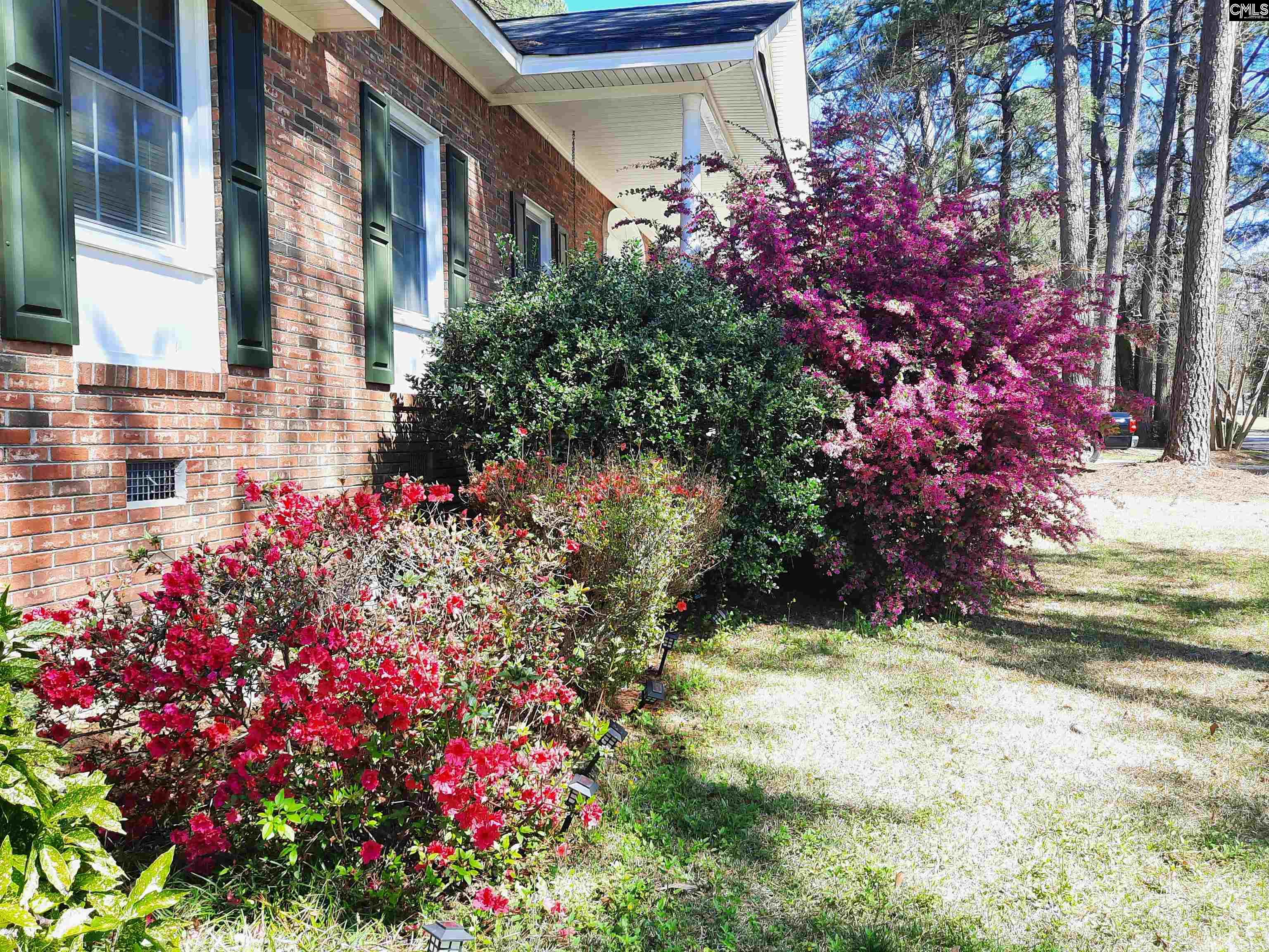 257 Brookspring Road Columbia, SC 29223 - Photo 7 of 63