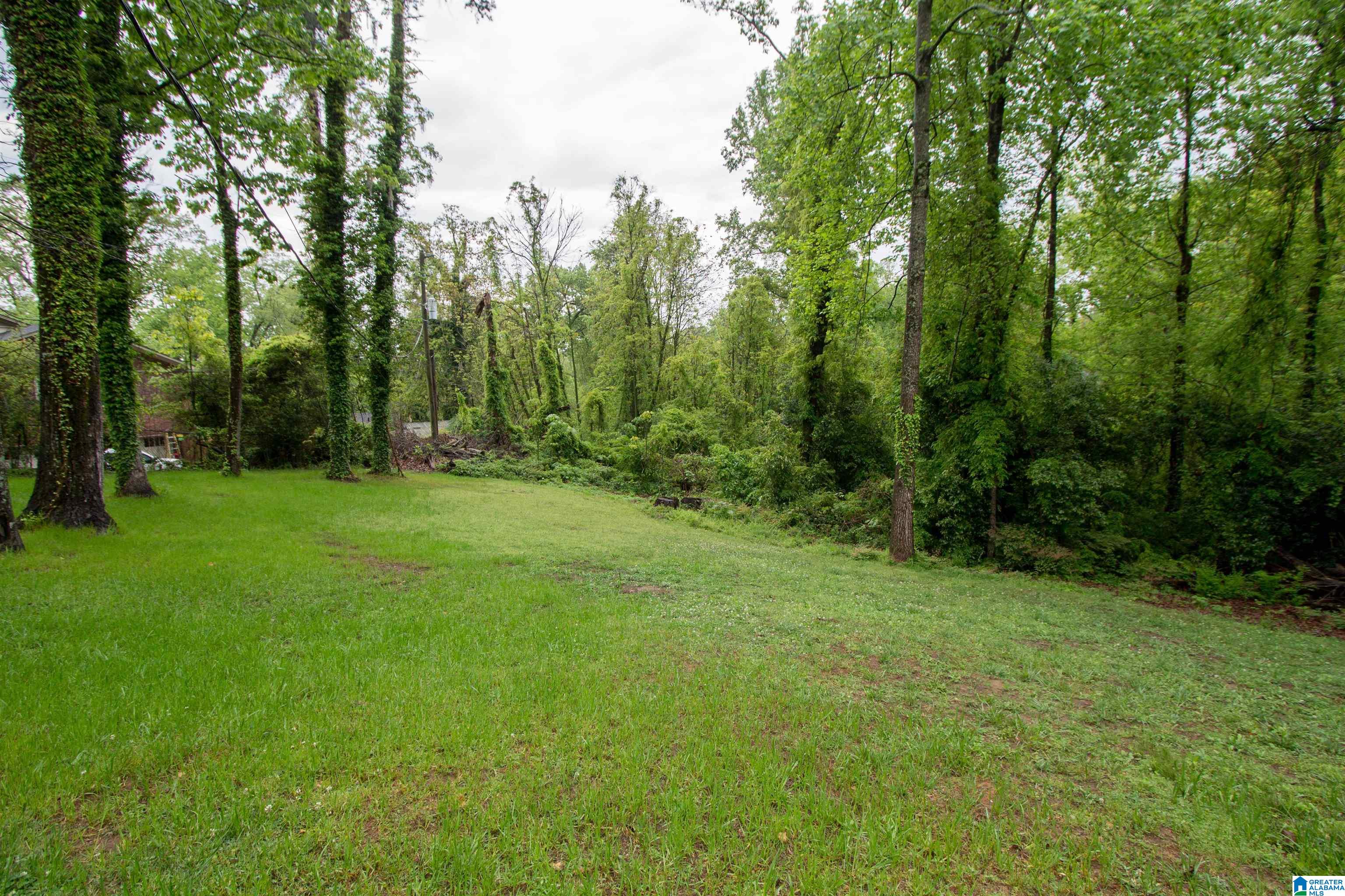 2532 Tyler Road Birmingham, AL 35226 - Photo 55 of 59