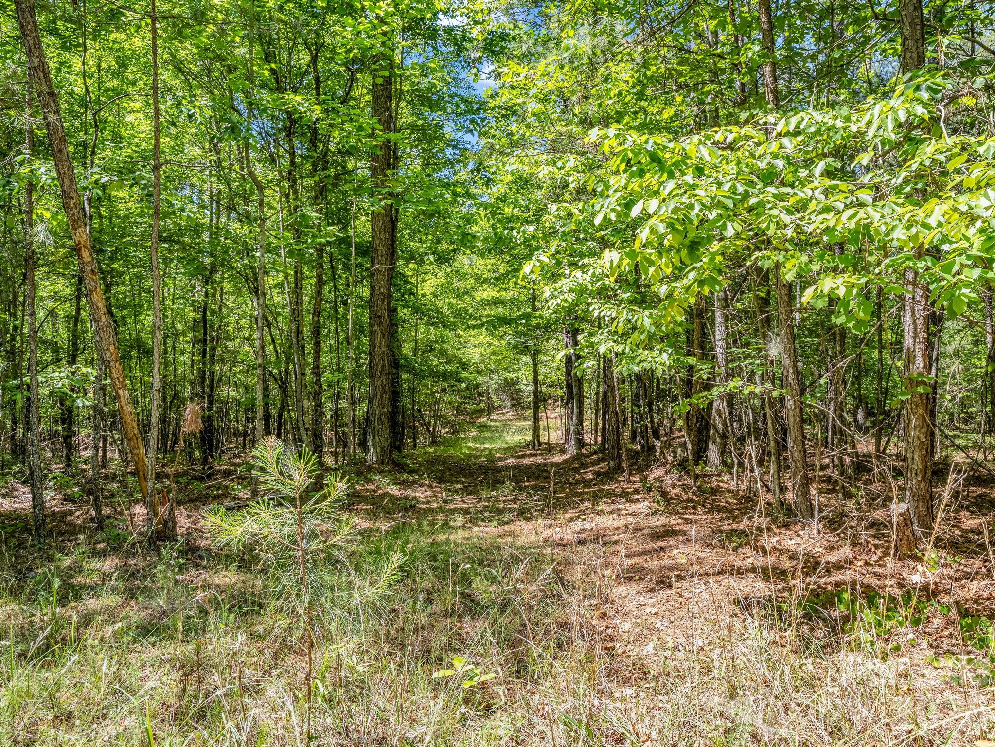 0 Jim Dobbins Road Rutherfordton, NC 28139 - Photo 33 of 39 a view of outdoor space and yard
